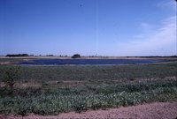 Larry Braby's Farm Before and After a Wetland Construction Project.