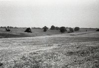 Photos of Pasture Land