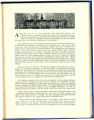 1913 Yearbook