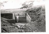 Weiland Brothers farm, 1960s