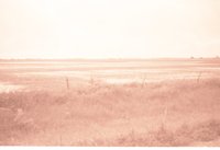 Fenced farmland with Water in the Field
