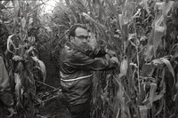 1978 Unidentified men examining corn