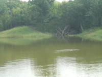2007 Jack Strawhacker photos of pastures and ponds