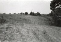 1995  Proposed Terracing project site on Dale Edmunds' farm