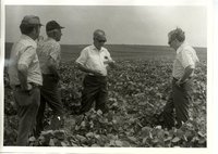 Harold Beichley farmland