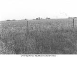 Malta, Iowa. MSTL