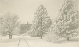 Morrill Hall, 1895-1900