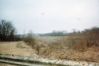 Carl Miller Property before wetlands restoration