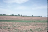 Photograph Collection Of Mrs. Lionel Evans Farm 