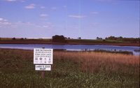 Larry Braby's Farm Before and After a Wetland Construction Project.