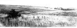 Topographies of the typical Iowa Drift Plain and the dissected Kansan Drift Plain, west of Washington near Van Horne, Iowa, late 1890s or early 1900s