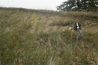 Man in eroded gully.