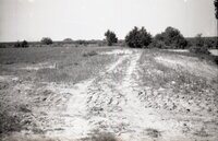 Drainage pipes in ground 