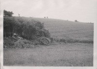 Clearing the pond site on the Garner farm.