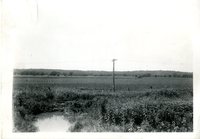 Wet Crop land not Planted