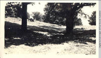 John Heitzman cutting hay in hayfield