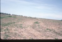 Photograph Collection Of Mrs. Lionel Evans Farm 