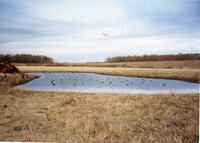 2002  Shallow water area comstructed on David Sheridan's property