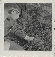 Bill Stark and L. Peterson inspect birdsfoot trefoil at Cliff Singley's farm.