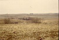 Farmland after harvest