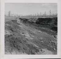 Diversion channel on Joe Steele's farm.