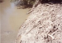1993 flood and Flint River debris removal