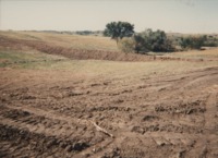 Lewis Putz' Farm.