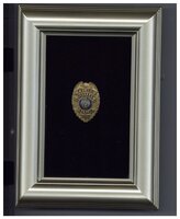 Albion Marshall Badge