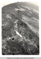 Four Mounds estate