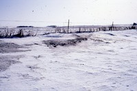 Snow in winter cover.