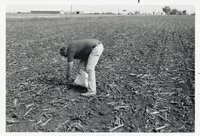 Man in field with bag