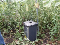 2007 Jack Strawhacker photo of water control structure