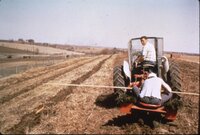 1987 Trees and grasses being planted