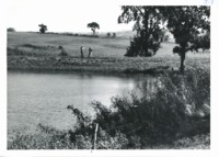 Pond on Louis Lane farm, 1962