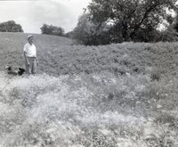 Unidentified man and dog stand in grassy field