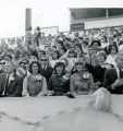 Homecoming Court