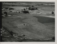 Strip cropping on the Morrison farm.