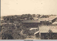 Backyards, picture taken from windmill behind Homestead pharmacy, Homestead, Iowa, 1900s