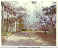 Corgy by front entrance in Spring