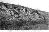 Oblique bedding with beds dipping northeast, LeClaire, Iowa, late 1890s or early 1900s