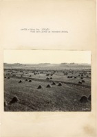 1937 - Good oats yield on terraced field