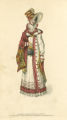 Autumnal Carriage Pelisse