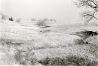 Sloped grassy field