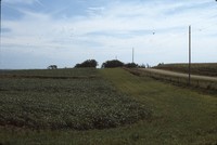 Broad-based terraces.