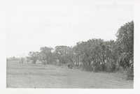 1964 -  Lee Shelton Farm
