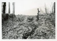 1980s - Results of too much rain