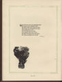 1921 Yearbook