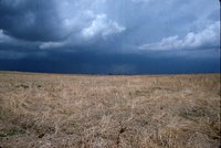 Larry Braby's Farm Before and After a Wetland Construction Project.