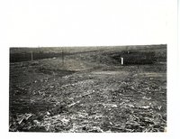 Ed Peak terraces, 1977