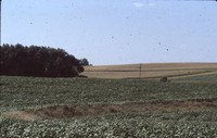 Russ Carver's farm.